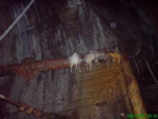 Nanocement Trockenlegung und Abdichtung, Bergbau Bergbauwerk Krupinski 1